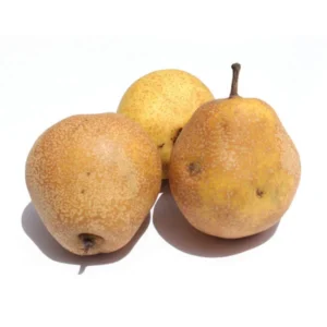 Pera Nacional unidad