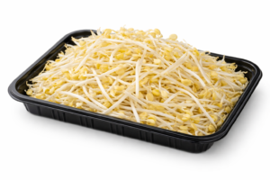 Raíz China – Libra