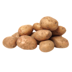 Papa Pastusa economica